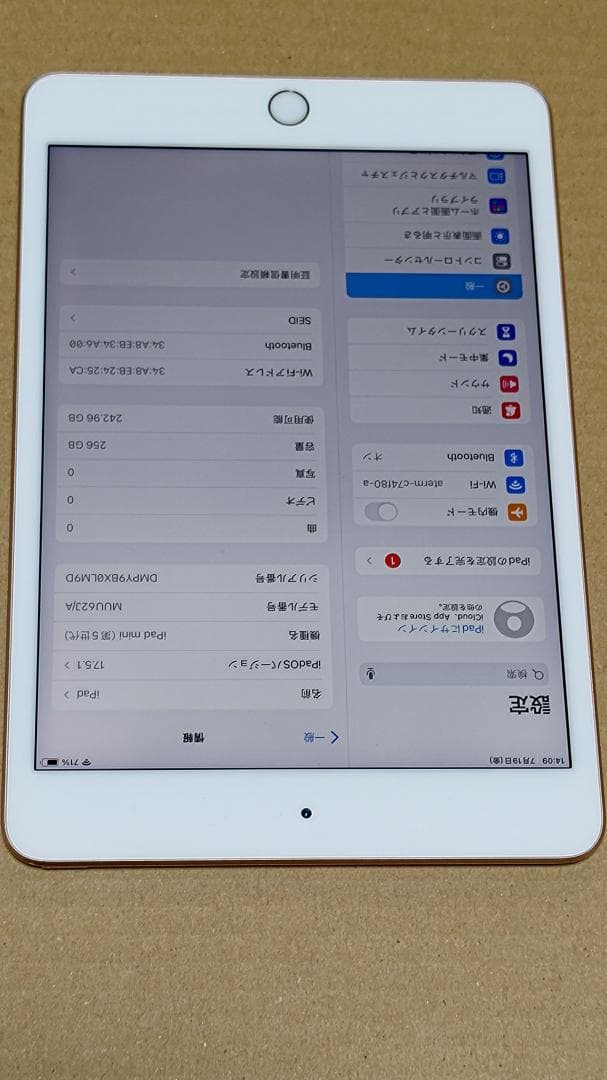 ジャンク品 Apple iPad mini 4 256GB ゴールド Wi-Fi