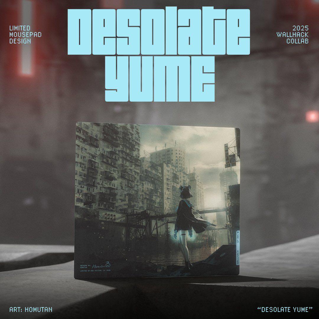 Wallhack SP-005 限定 DesolateYume