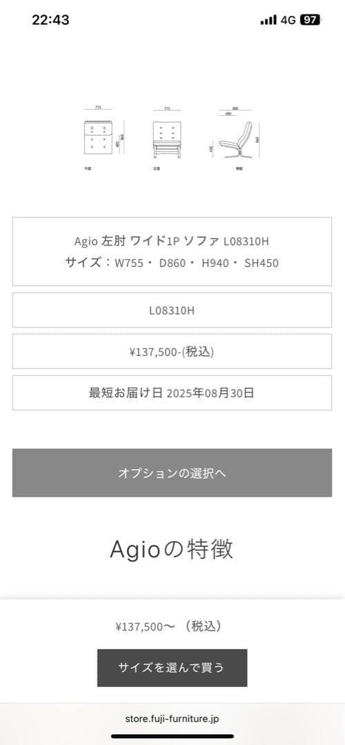 FUJI FURNITURE フジファニチア Agio 2人掛けソファ