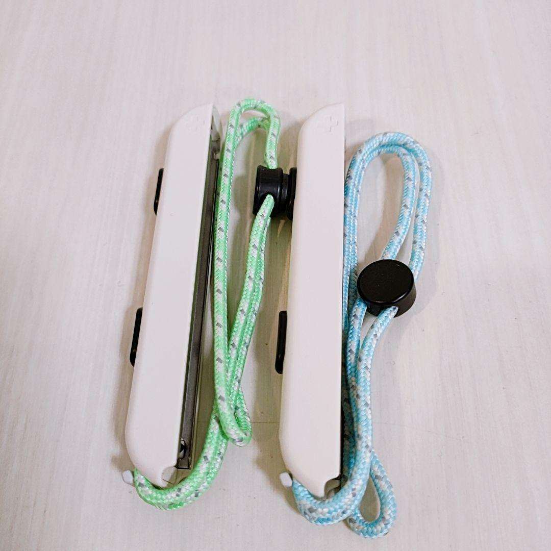 Switch　あつまれどうぶつの森デザイン