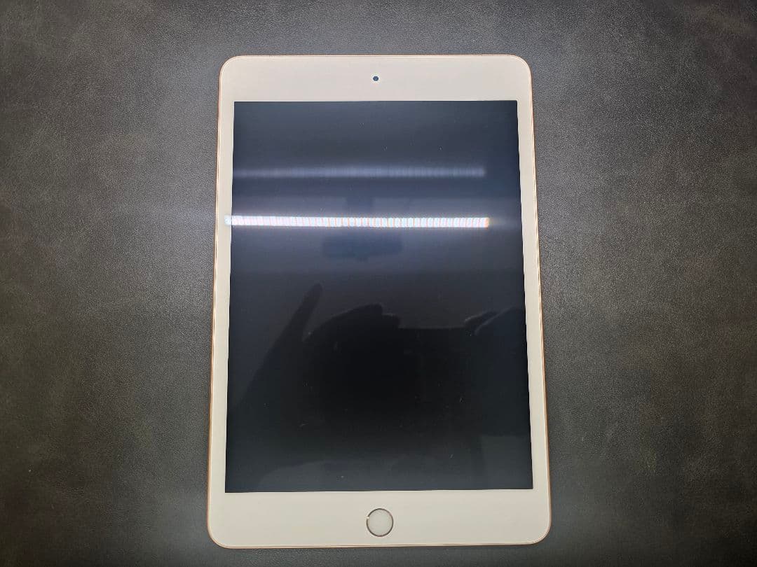 iPad mini4 第5世代 256g Cellular 美品