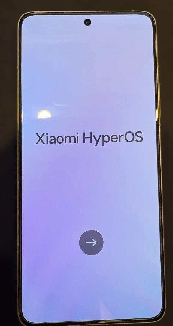 ★☆ 新品同様 Xiaomi 14T Pro おまけ付き ☆★