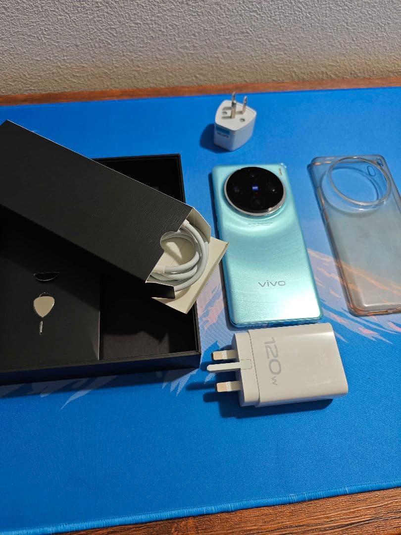 Vivo X100 Pro グローバル版 ・マクロ撮影◎