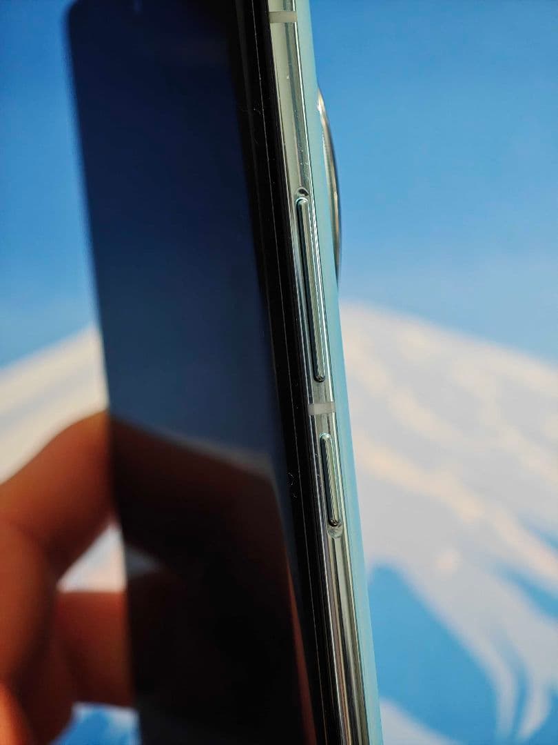 Vivo X100 Pro グローバル版 ・マクロ撮影◎