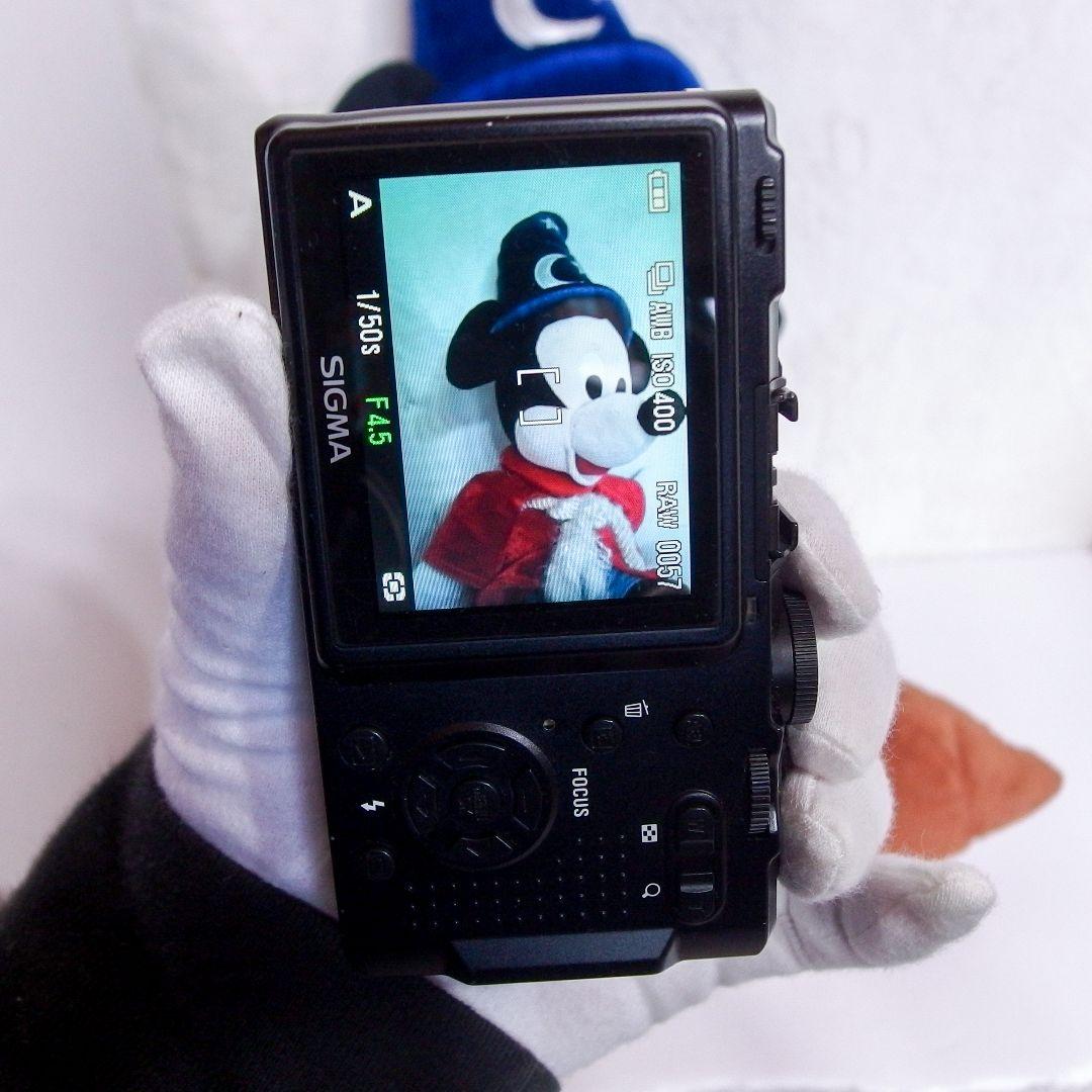 完動品 美品 希少 SIGMA シグマ DP1 DP2 充電器1個付