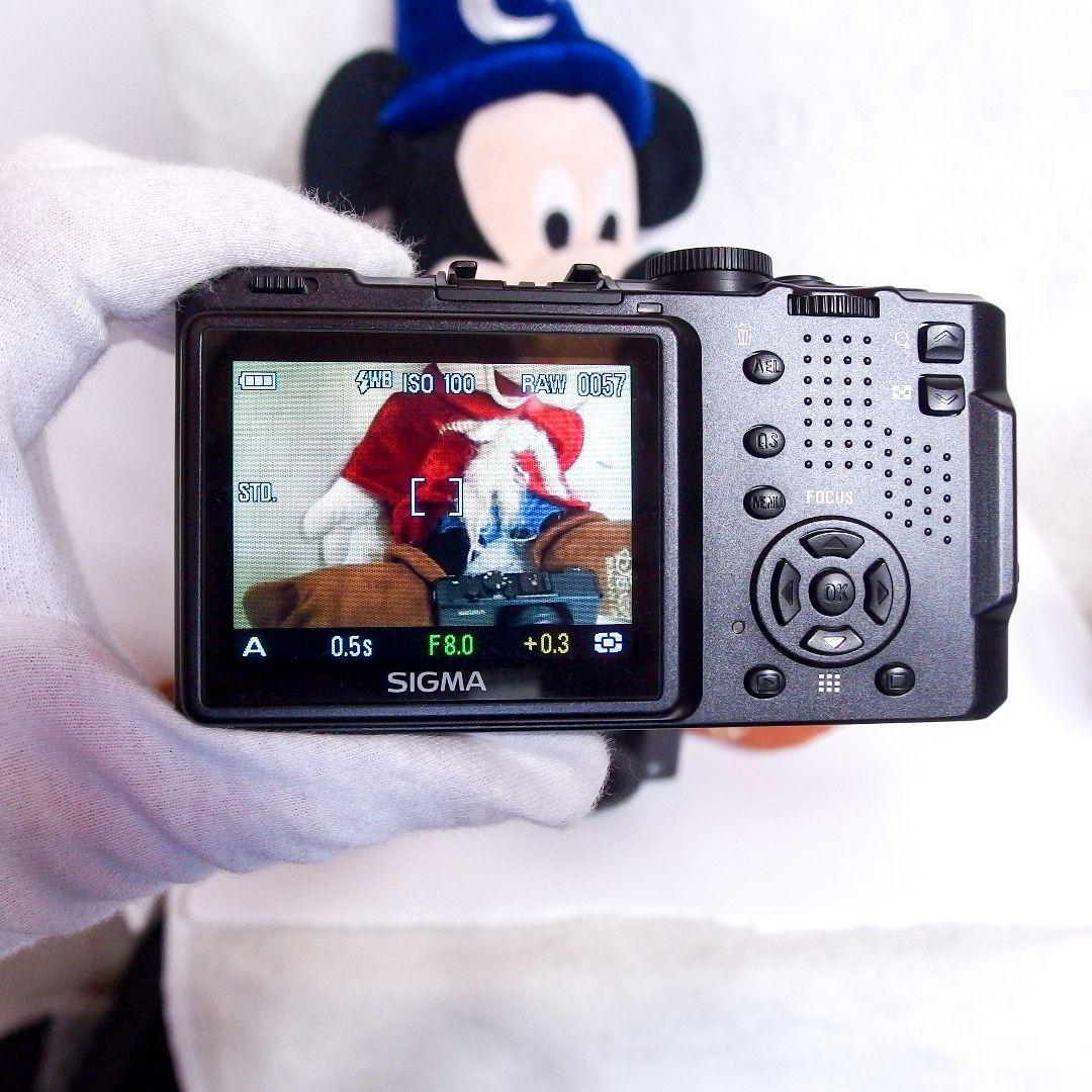 完動品 美品 希少 SIGMA シグマ DP1 DP2 充電器1個付