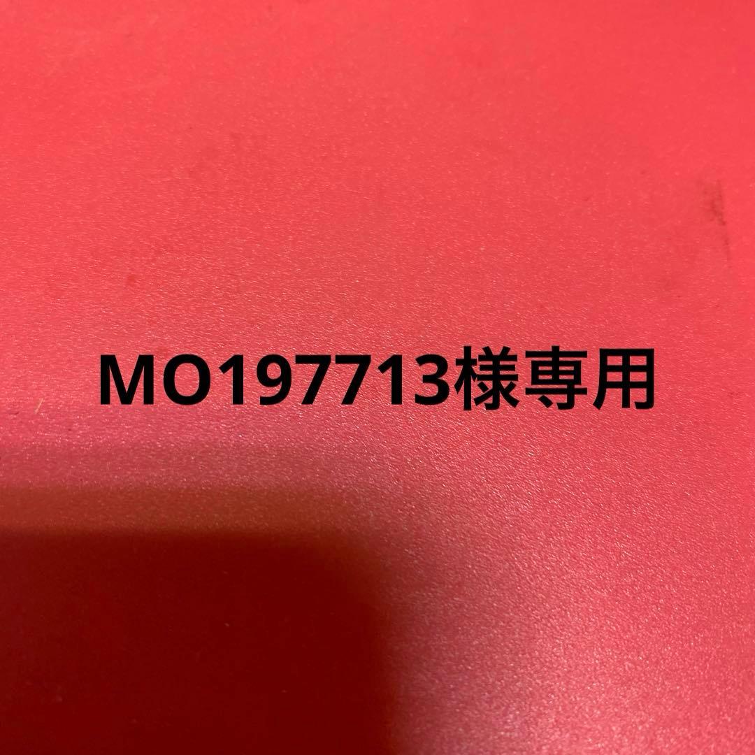 その他 MO197713