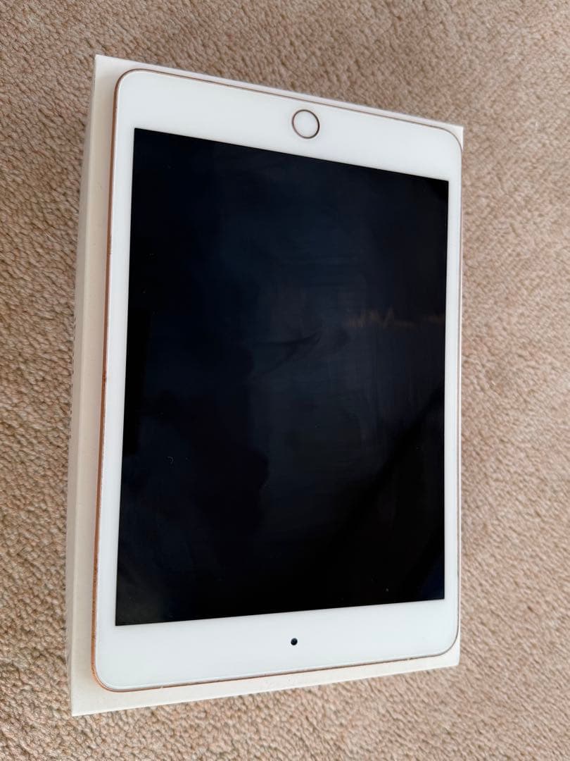 iPad本体 Apple iPadmini5 256GB wifi+cellular