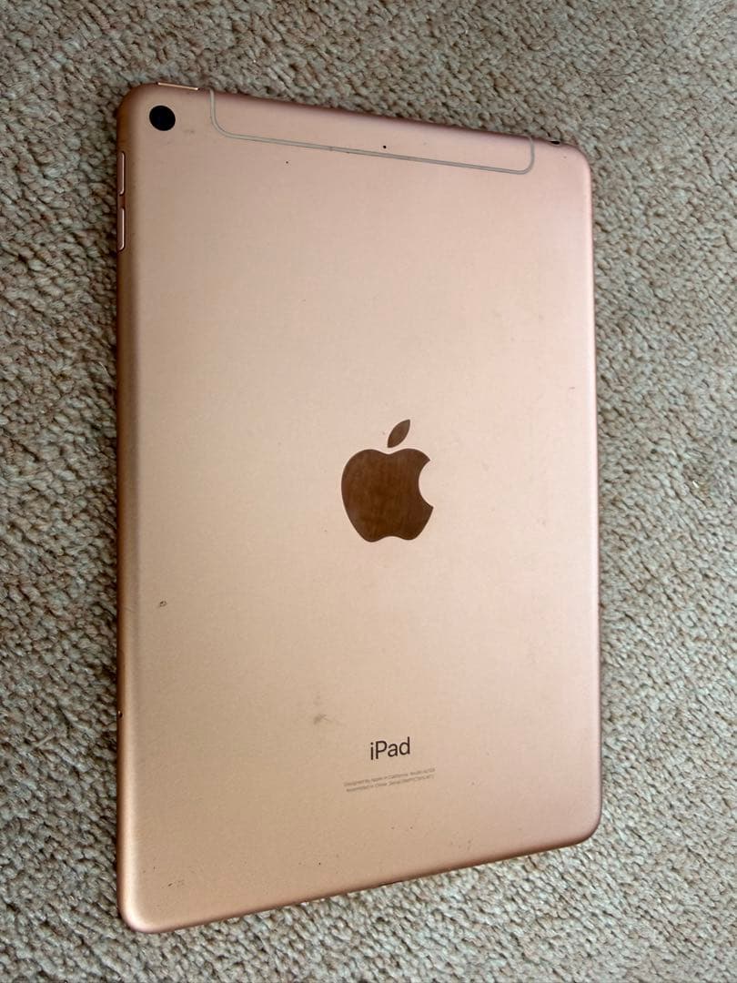 iPad本体 Apple iPadmini5 256GB wifi+cellular