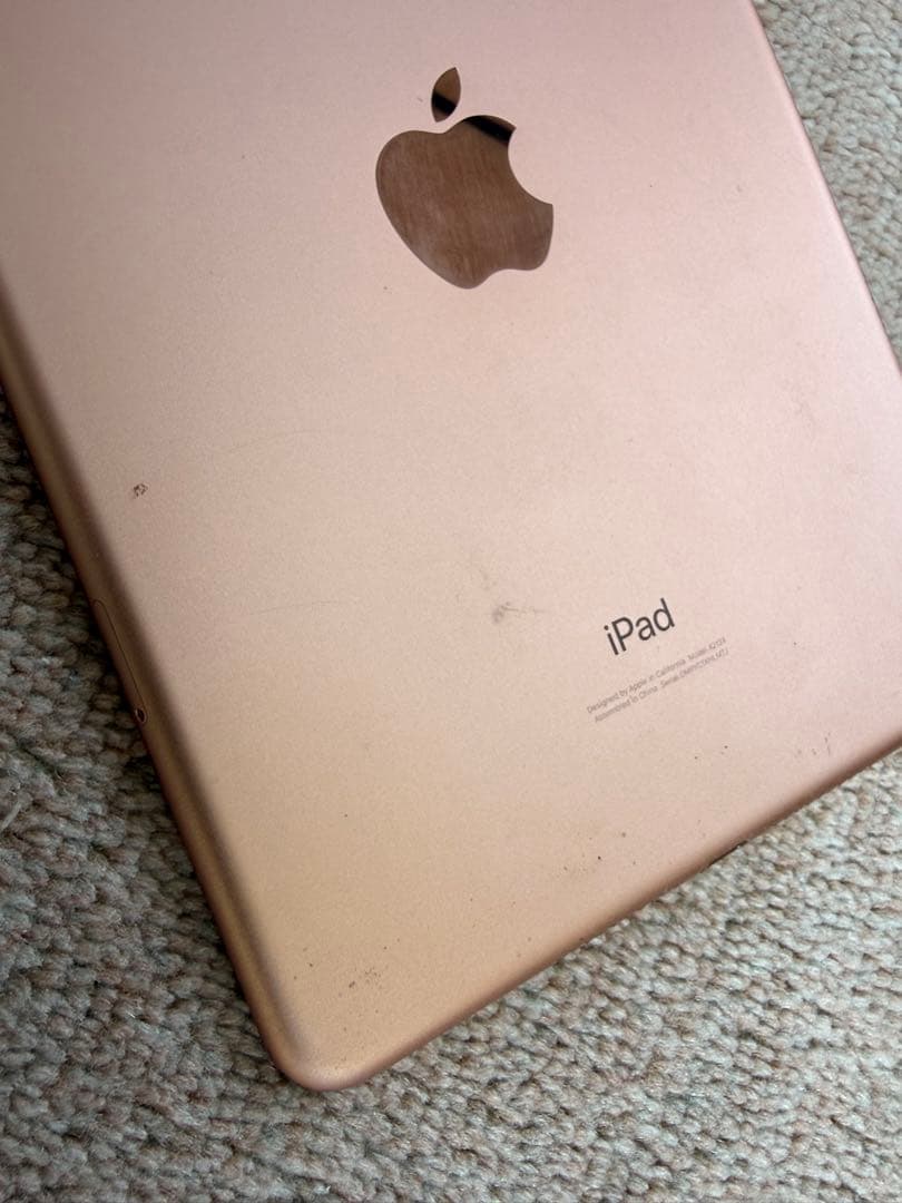 iPad本体 Apple iPadmini5 256GB wifi+cellular