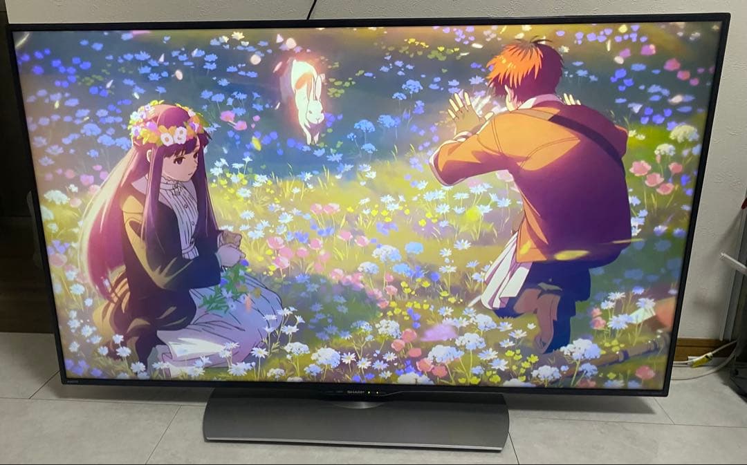 SHARP AQUOS 50V型 4K液晶テレビ LC-50U40