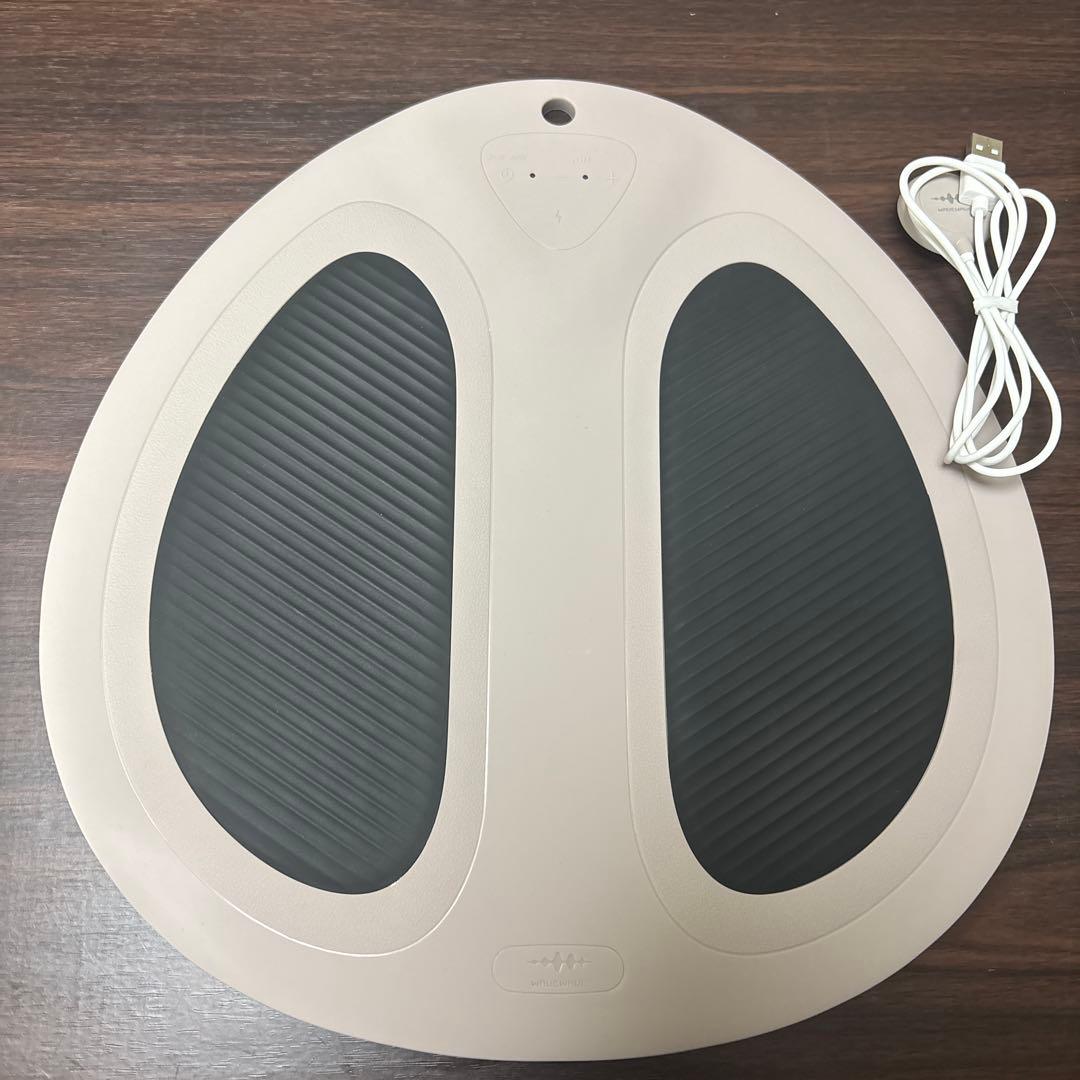 ボディ・フェイスケア EMS Hydro Mat