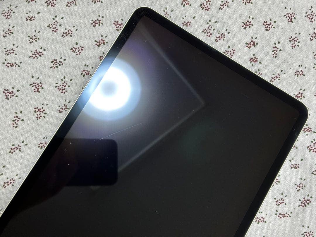 iPad Pro 11インチ (第1世代) 64GB WiFi