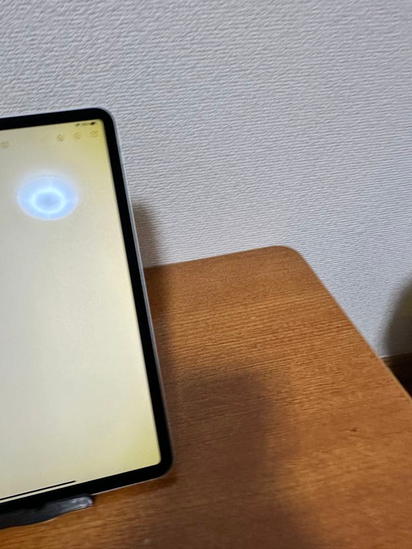 iPad Pro 11インチ (第1世代) 64GB WiFi