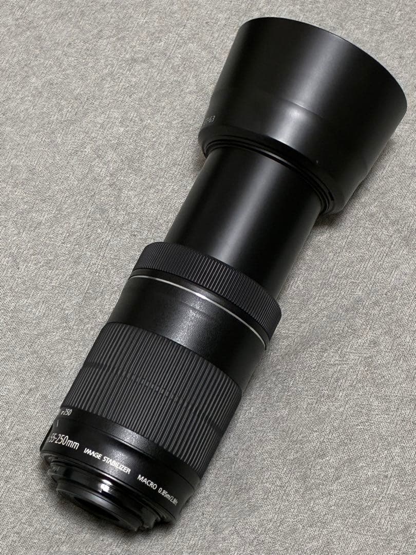 ⭐️極美品⭐️Canon EF-S 55-250mm STM レンズ フード付