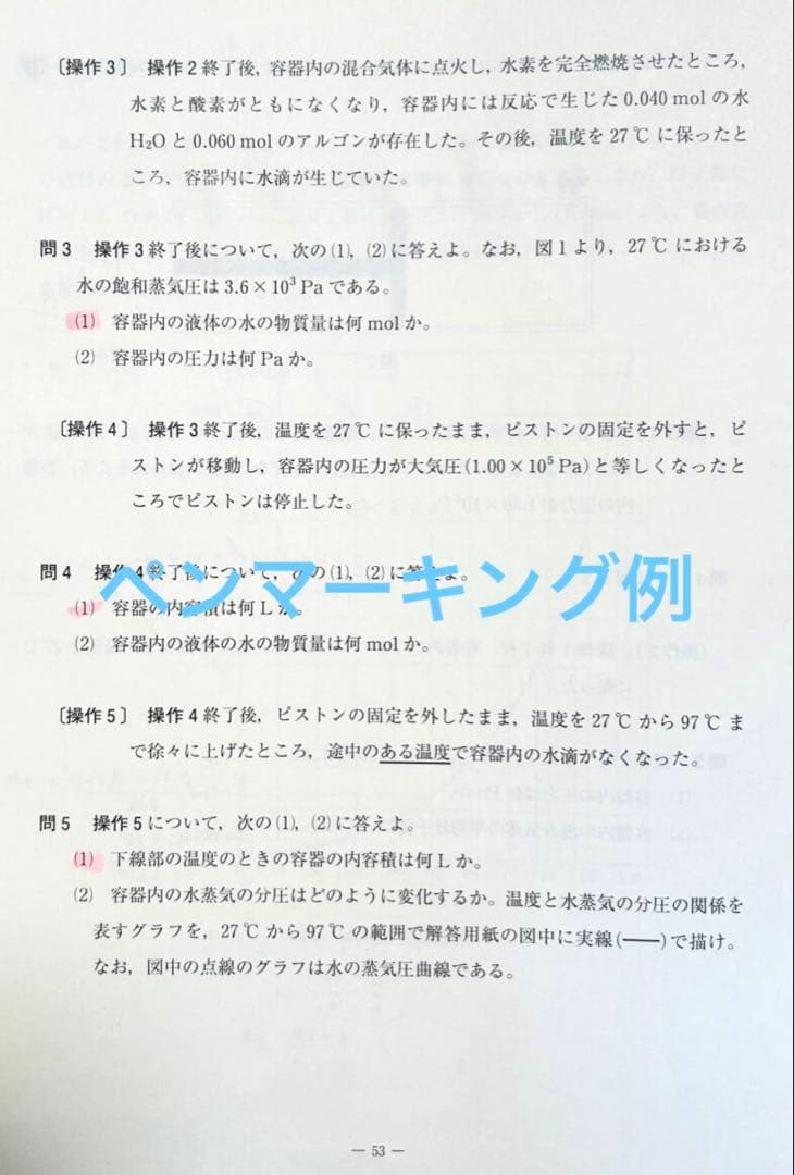 河合塾 ２０２５年１月実施 ２０２４年度 全統高２記述模試(解答解説付)