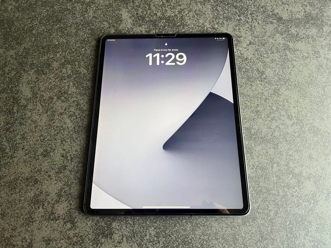 iPad Pro 12.9インチ 第4世代 256GB セルラー