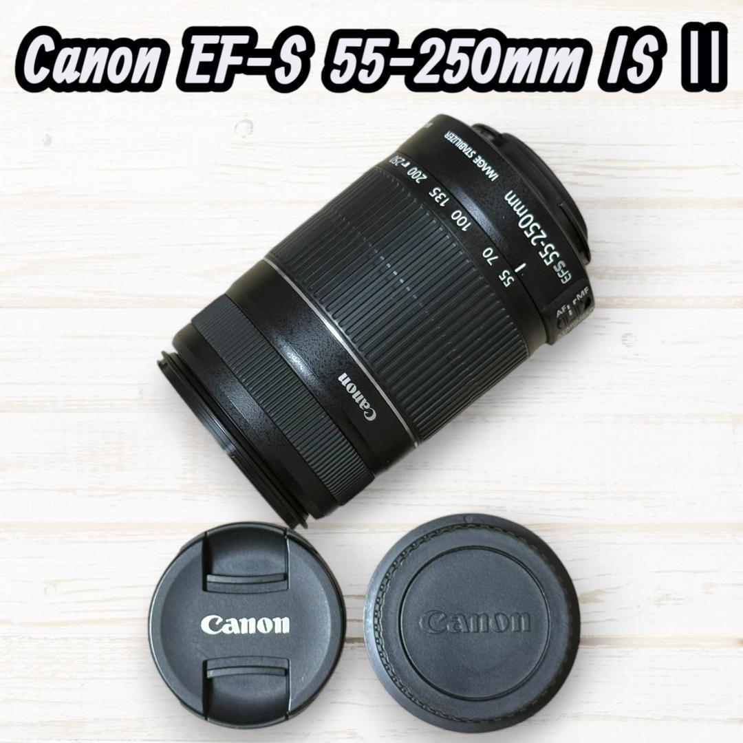 Canon ズームレンズ EF-S 55-250mm IS Ⅱ #144