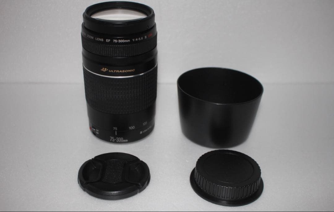 ☆望遠レンズ☆CANON EF 75-300㎜F4-5.6 III USM☆