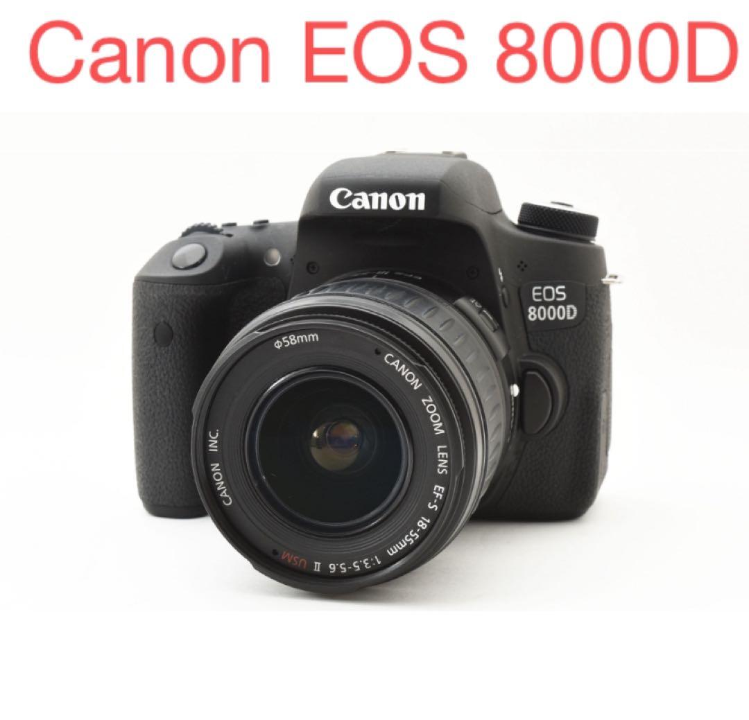 デジタル一眼レフカメラCanon EOS 8000D 標準レンズセット
