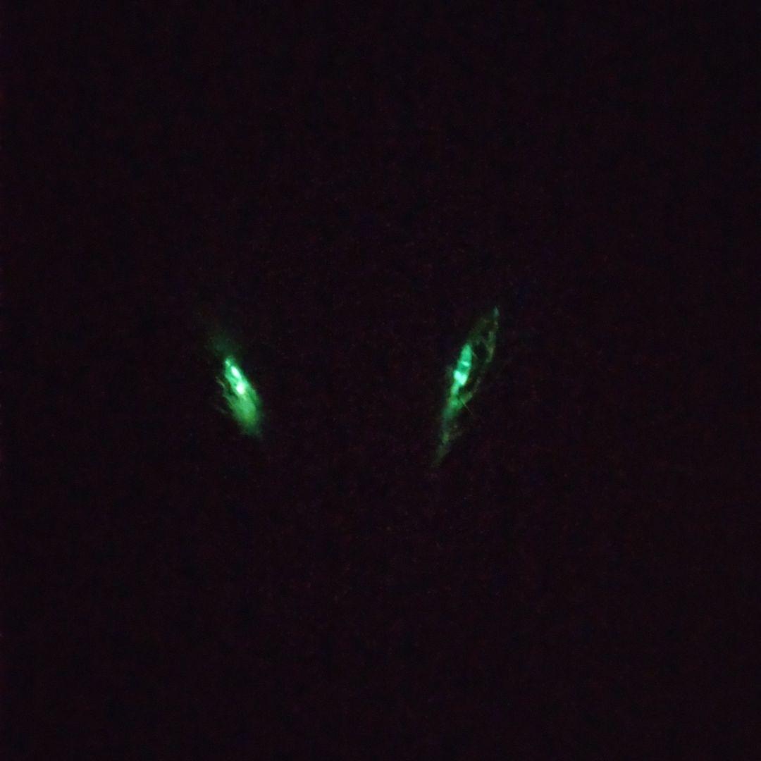 ふわふわな龍DragonドラゴンArtDollハンドメイドぬいぐるみアートドール