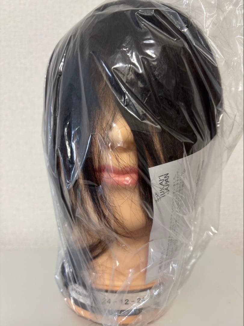 4個 美容師国家試験適合 ユーカリジャパン　24-12-24 カットウィッグ