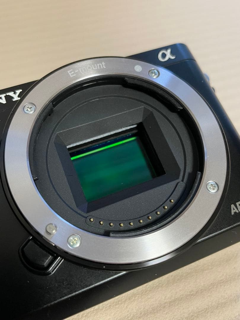 SONY α6000 ILCE-6000 動作確認済【総ショット数1557】