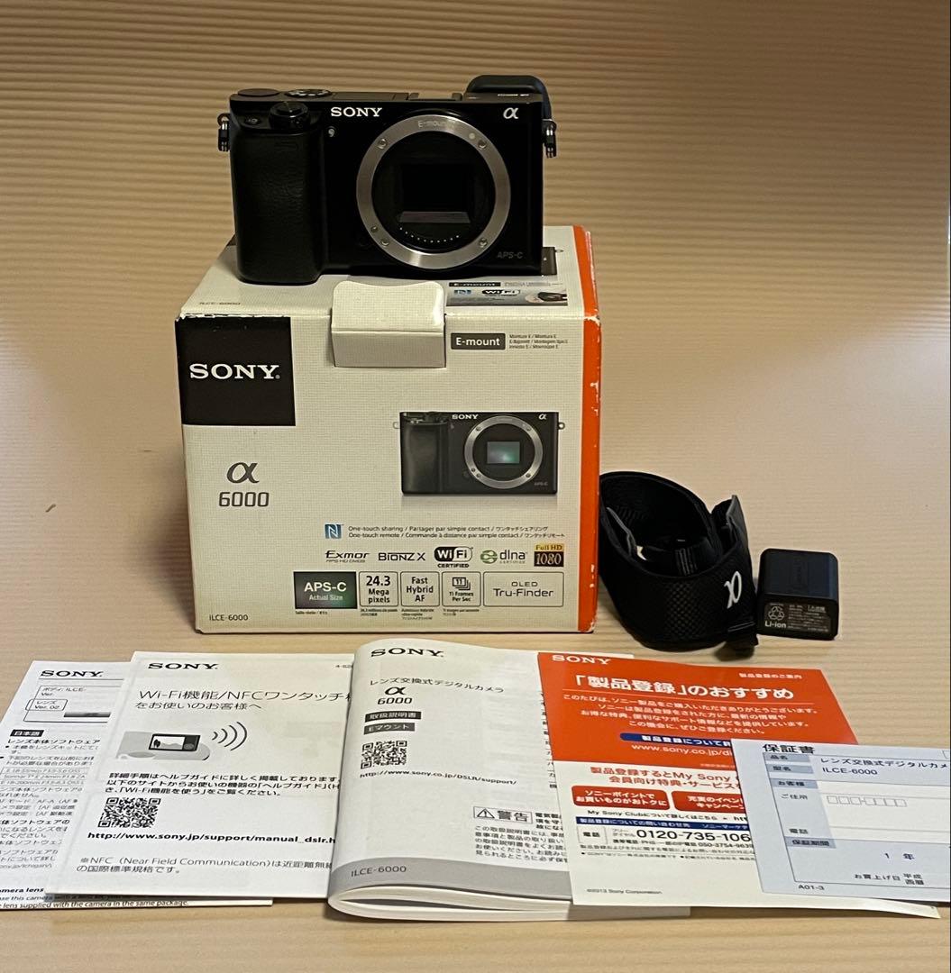 SONY α6000 ILCE-6000 動作確認済【総ショット数1557】