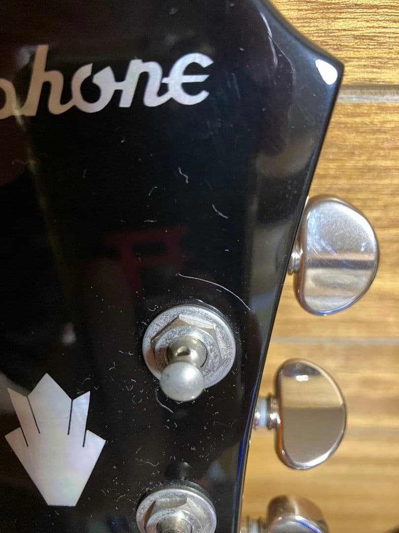 Epiphone Dove PRO エレアコ