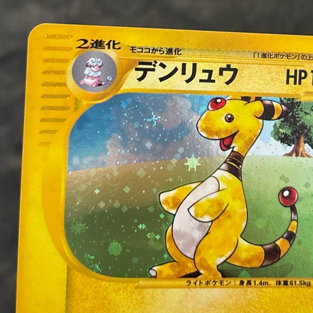 p*a様 #ゆんの気まぐれオークション　（梅）　メリープ　モココ　デンリュウ