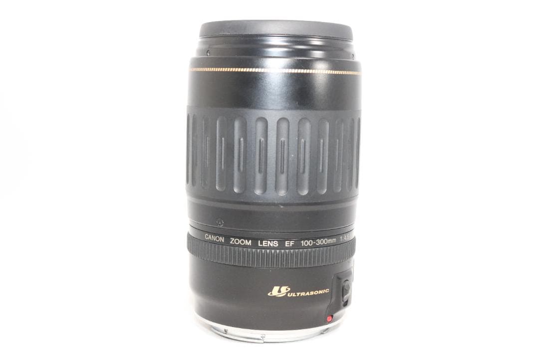 超望遠レンズ⭐Canon EF 100-300mm 運動会・スポーツ観戦・野鳥