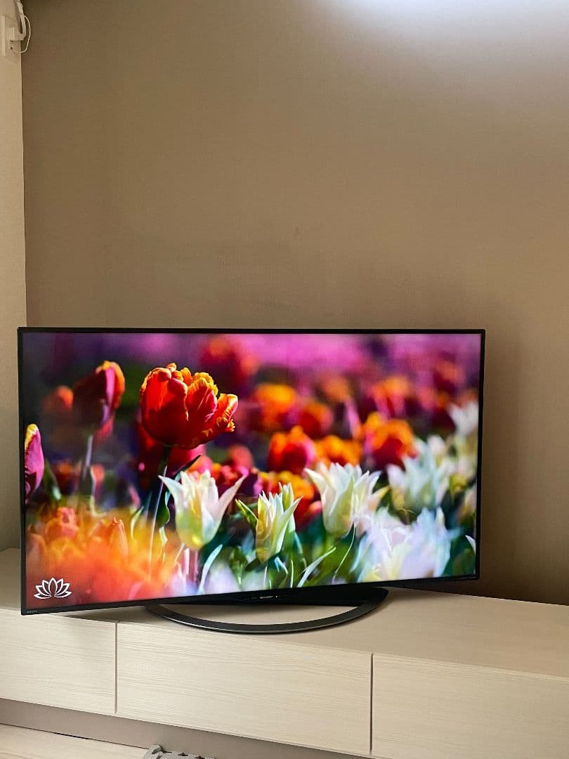 専用シャープ 4K 液晶テレビ 50インチ