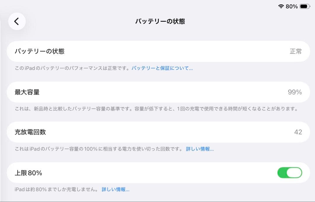 Apple iPad mini 第7世代 A17 Pro | バッテリー99%