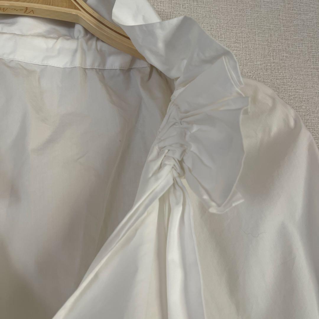 ジャーナルスタンダード　レサージュ　白　襟　フリル　ブラウス　卒業式　入学式