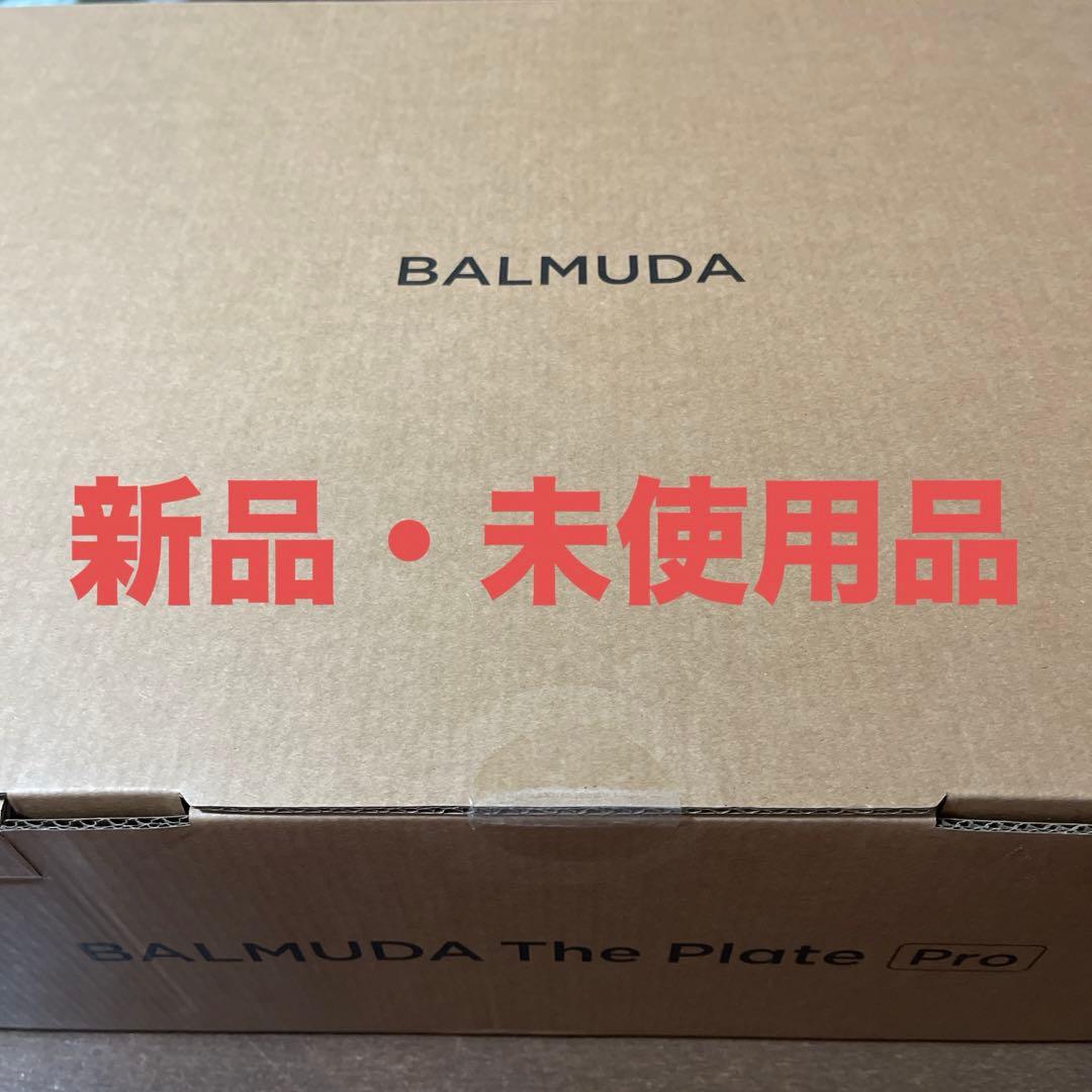 バルミューダ ザ・プレート プロ ホットプレート K10A-BK