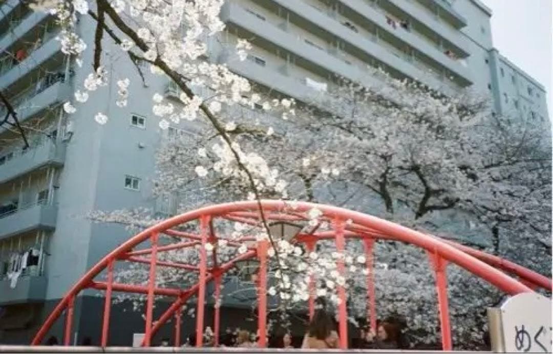 動作確認済み】canon snappy 20 フィルムカメラ　赤　レッド