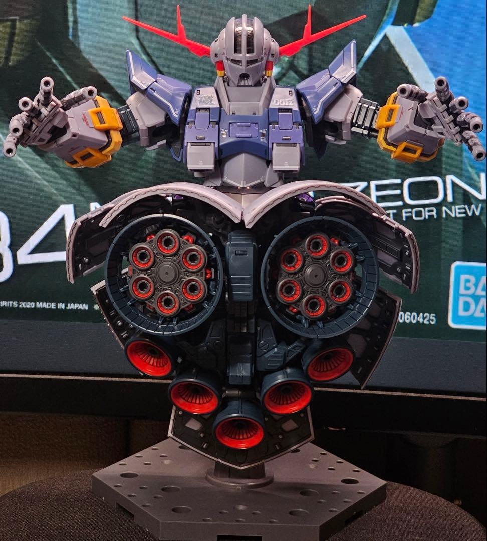 塗装済み 完成品 RG ガンプラ　2体セット