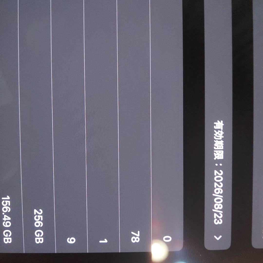 Apple iPad Pro 13インチ　256GB