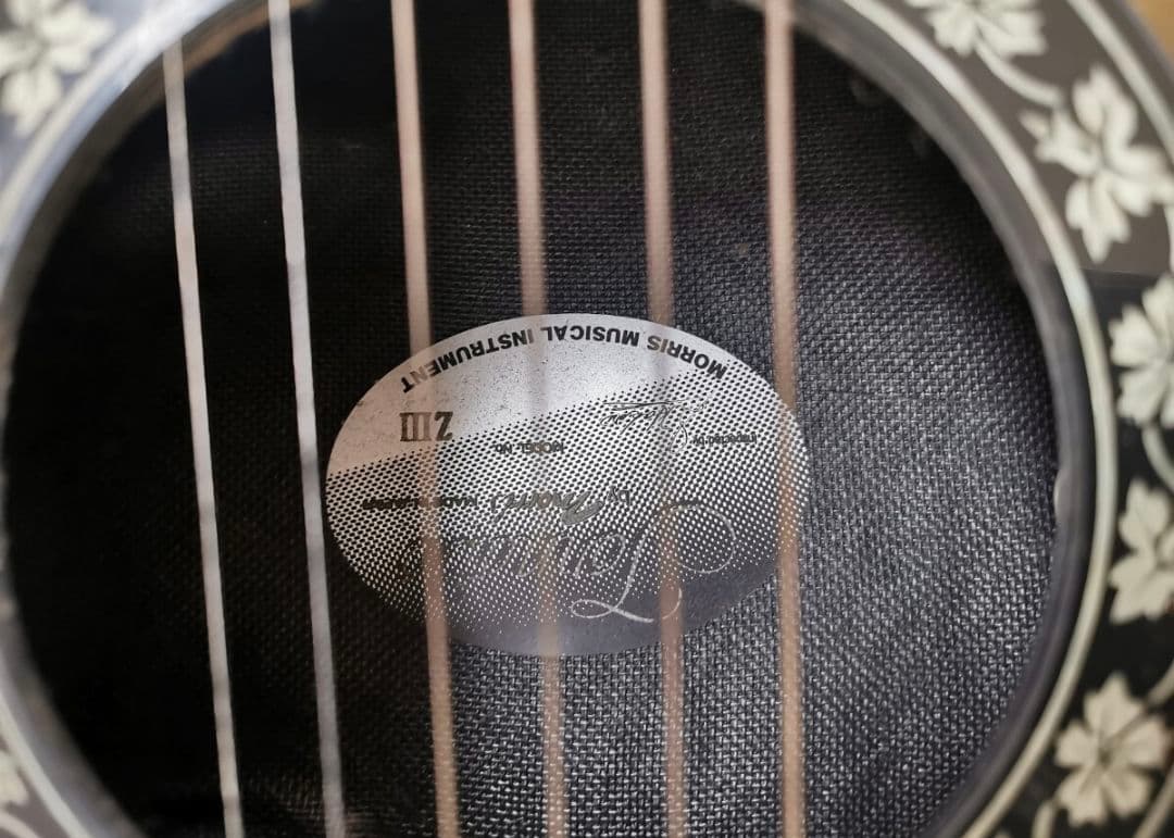 【ソフトケース付き】エレアコ morris Tornado ECLIPSE