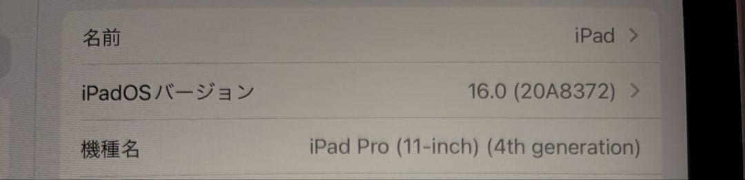 ジャンク品　シルバー　iPad Pro 11インチ　第4世代 箱付き