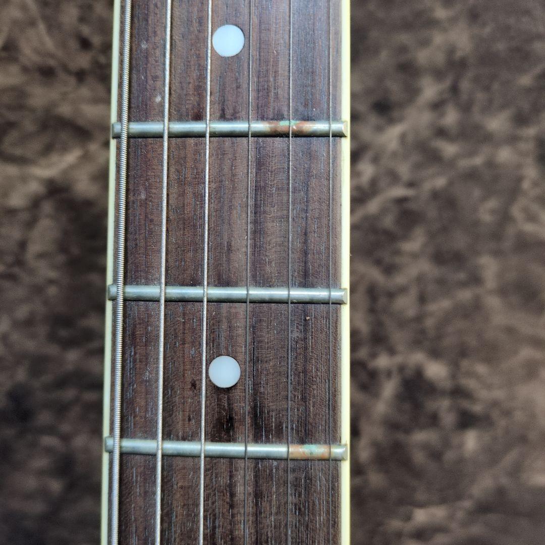 Grassroots Horizon G-HR-43QM ホライゾンエレキギター