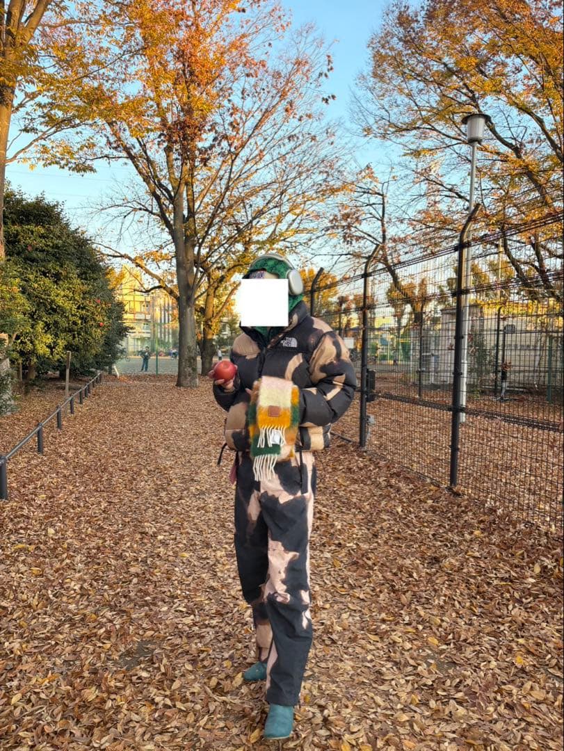 Supreme The North Face Bleached セットアップ