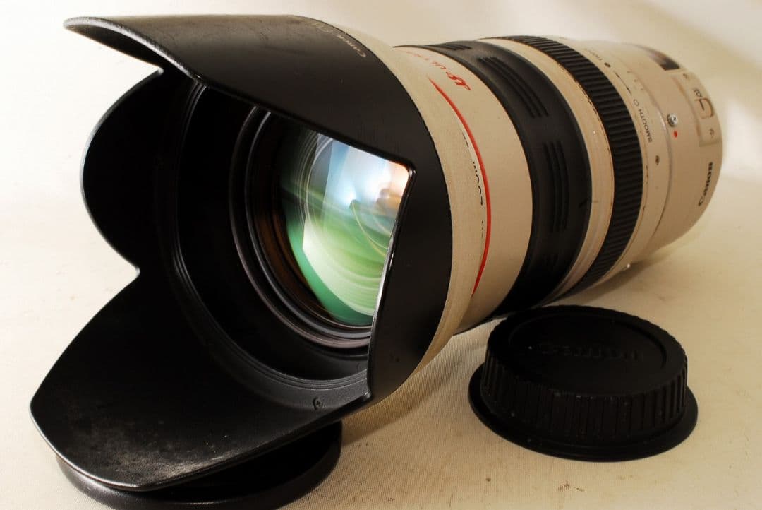 ■実用品■ Canon EF 35-350mm F3.5-5.6 L USM