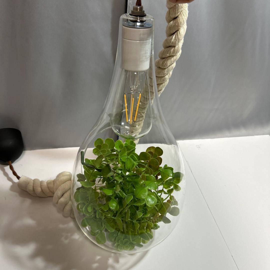 スワン電気 ボタニック ハンギングライト ペンダントライト ガラス ロープ