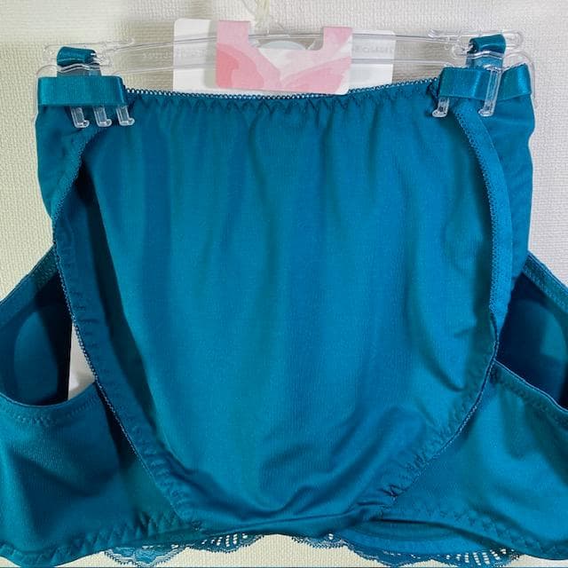 専用【６点】【E95/4L】ブラ・ショーツセット★51111031