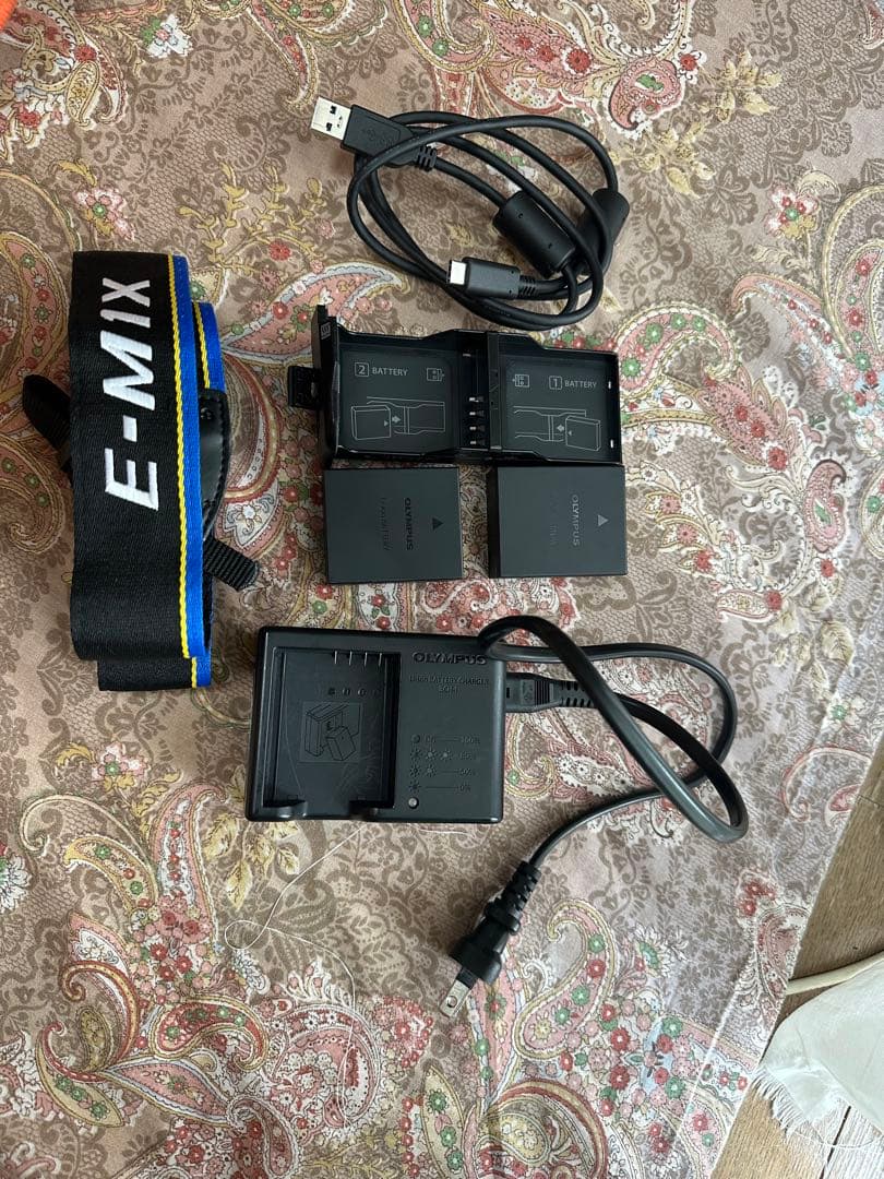 Olympus om-d e-m1x シャッター6350回