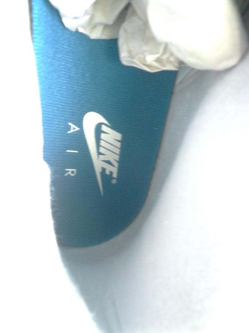 靴 NIKE AIR JORDAN 4 RETRO OG FV5029-141