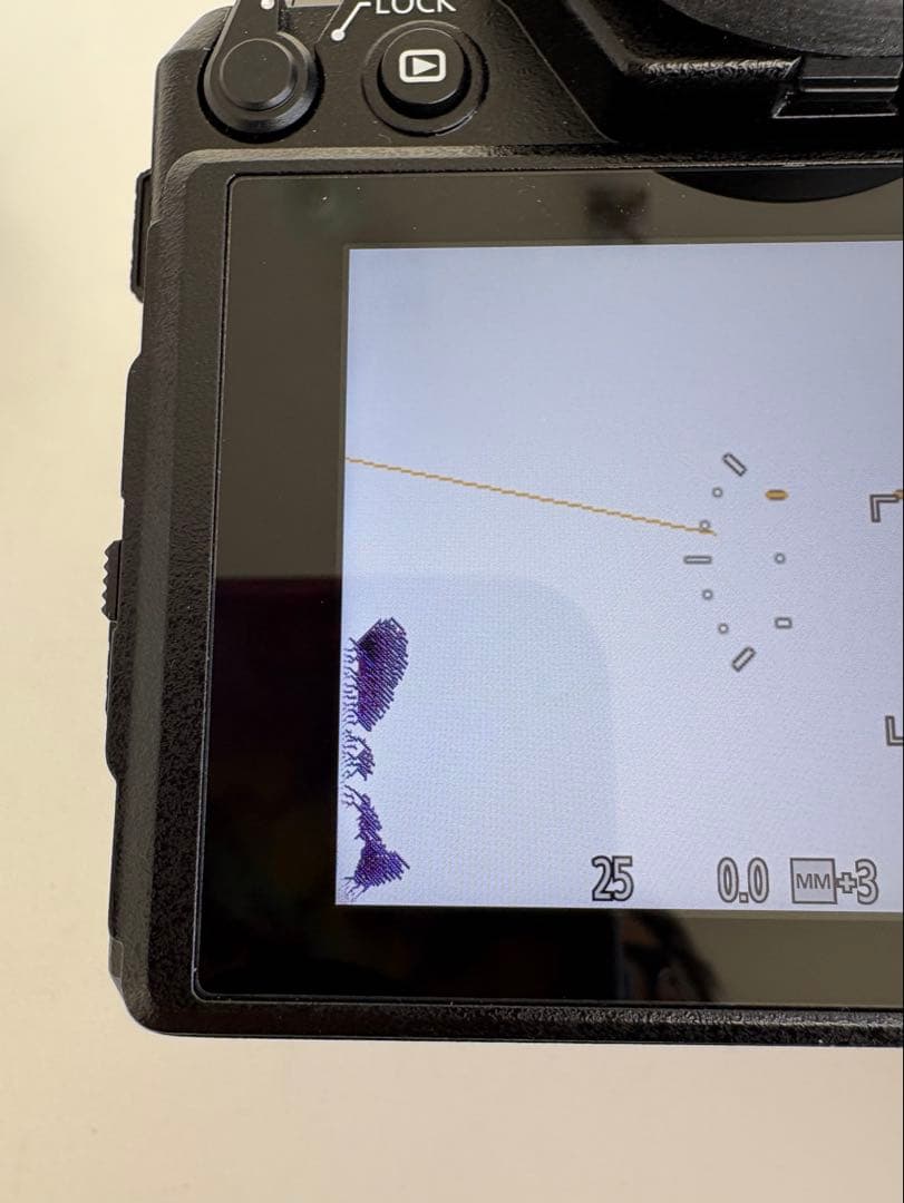 LUMIX S1 ミラーレス一眼カメラ バッテリーグリップ付き