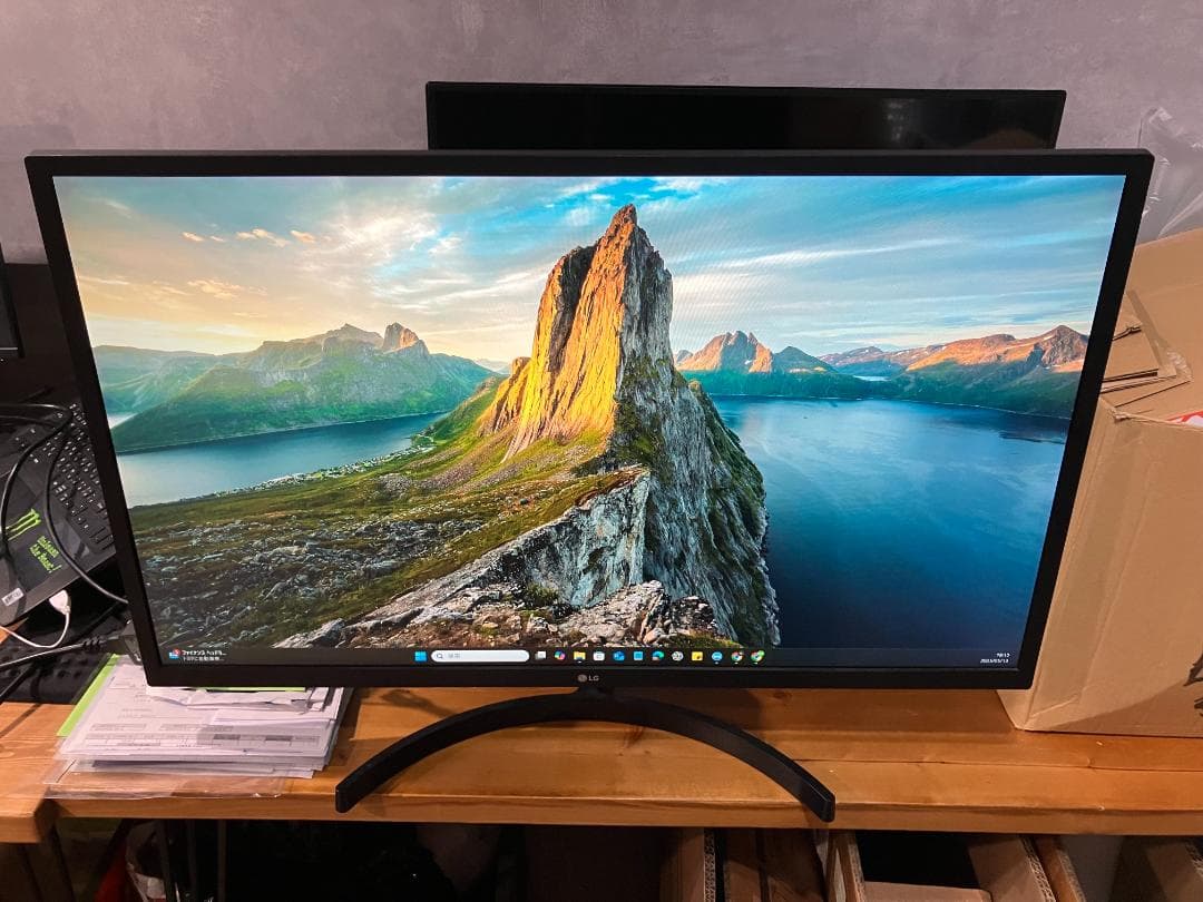 LGエレクトロニクス モニター ディスプレイ 32MN600P-B