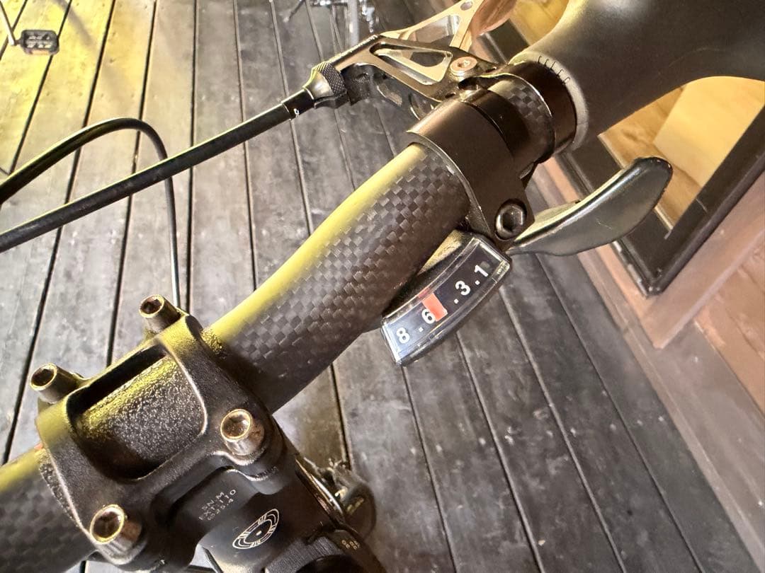 【送料込み】TERN 2023年モデル AMP F1 カスタム